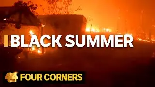 The stories behind the viral videos from Australias bushfire crisis | Four Corners