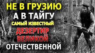 НЕВЕРОЯТНО! ГОДЫ В ТАЙГЕ В ОДИНОЧКУ ЧТОБЫ ОТКОСИТЬ ОТ СЛУЖБЫ