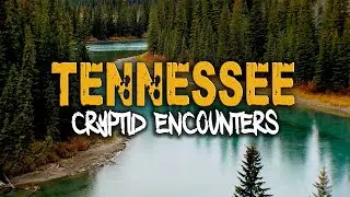 6 Absolutely INSANE Cryptid Encounters From TENNESSEE