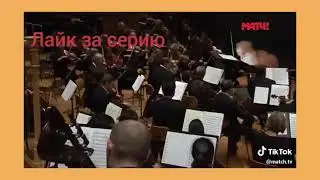 Коты поют гимн России
