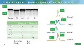 Purification of DNA Oligonucleotides using Anion Exchange Chromatography