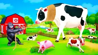 GIANT COW FARM - Lion Attacks Cows in Cows Farm | Gorilla's Cow Farm | Funny Animals Videos 2022