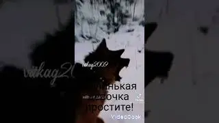 Эдит немецкая овчарка, доберман!!!🐾💖💝🤗🤗💞💟🌺поднимаем  Акитив пж!!🐾🤗