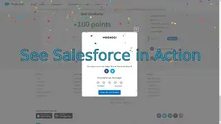 See Salesforce in Action