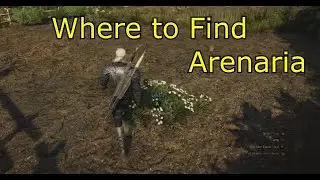 Where to Find Arenaria - The Witcher 3 - Where is Arenaria for Specter Oil?