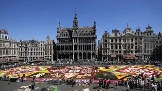 'It was challenging': Meet the artist behind the design of Brussels' Flower Carpet 2024