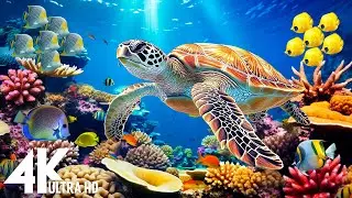 Ocean 4K - Sea Animals for Relaxation, Beautiful Coral Reef Fish in Aquarium, 4K Video Ultra HD #226