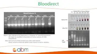 abm - PCR Products Overview