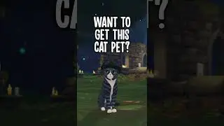 How to get a FREE witch cat pet in Star Stable Halloween 2023!! 