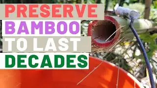 How to Preserve Bamboo: Including DIY Boucheire Method