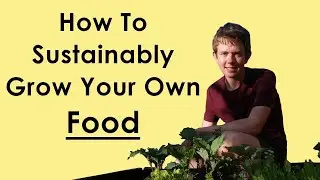 How To Sustainably Grow Your Own Food (guest submission)