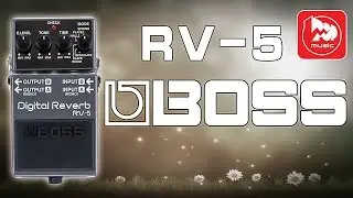 BOSS RV-5 - гитарный ревер ( Digital reverb pedal)