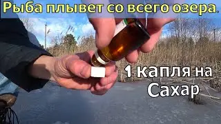 Капаю это аптечное средство на сахар и лунку. Опустил камеру под воду. Прикормка для рыбалки зимой.