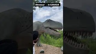 Dinosaurs in Canada 🇨🇦. Amazing experience in winipeg #dinosaurs #canada #hindi #flyingleader