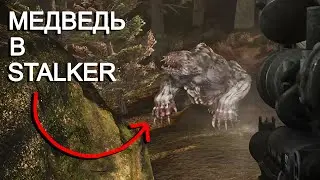 Встретил МЕДВЕДЯ в STALKER. НС OGSR 2024 #16