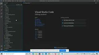 How to run Tensorflow Posenet/BlazePose/Movenet demo locally using Visual Studio Code