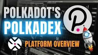Polkadot's Polkadex: Everything You NEED to Know