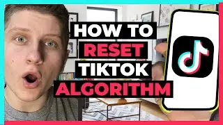 How To Reset TikTok Algorithm - How I Did