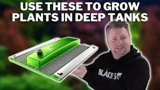 What Light Grows Plants in Deep Tanks? Using Bestva Grow Lights on your Aquarium