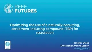 Optimizing the use of a naturally-occurring, settlement-inducing compound (TBP) for restoration