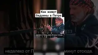 Как бедуины живут в Петре? #иордания #прусаков #путешествия