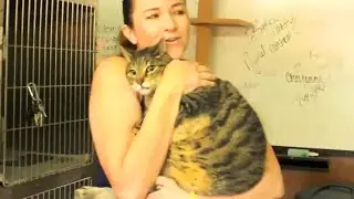 Animals That Do Not Forget Their Owner After Years