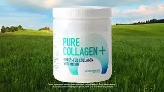 Pure Collagen+