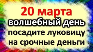 20 марта, волшебный день, посадите луковицу на срочные деньги. Народные приметы в Павла Капельника