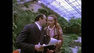 Чародеи, 1982. Брачный договор.