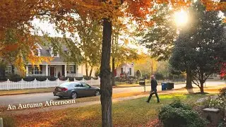 Fall time in Franklin, TN | Fall Foliage Drive, Autumn Sunshine, and Cozy Cafe Vibes