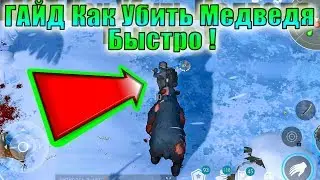 ГАЙД КАК БЫСТРО УБИТЬ МЕДВЕДЯ ЛАСТ ДЕЙ! ГАЙД КАК УБИТЬ МЕДВЕДЯ ЛАСТ ДЕЙ! ЛДОЕ ГАЙД КАК УБИТЬ МЕДВЕДЯ
