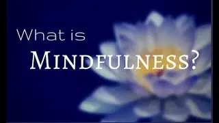 DBT - Mindfulness Intro: What is it and how does it help?