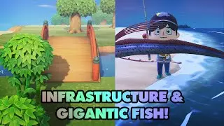 Infrasturcture & LEGENDARY FISH! - Animal Crossing New Horizons