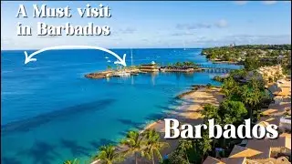 “Exploring a Tropical Haven in Speightstown, Barbados – Must-Visit Spot!”