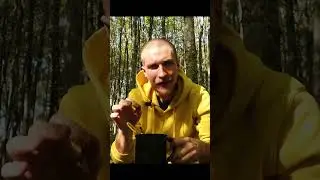 Дегустирую готовый обед от Кронидов