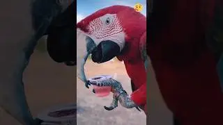 macaw parrot 😘 #shorts #parrot #youtubeshorts