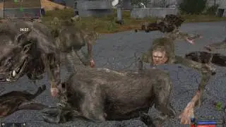 STALKER Золотой шар-шанс (1)#19