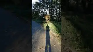Лови момент