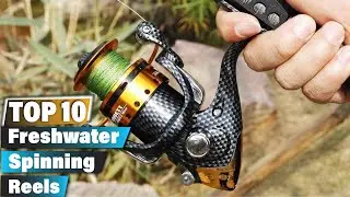 Top 7 Best Freshwater Spinning Reels You Must Try in 2024