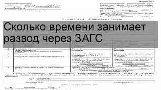 Сколько времени занимает развод через ЗАГС