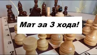 Шахматы. Как поставить красивый мат за 3 хода?