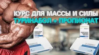 КУРС НА МАССУ И СИЛУ. ТУРИНАБОЛ + ПРОПИОНАТ