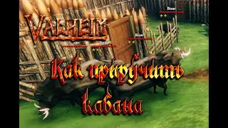 Valheim Гайд ► Как приручить кабана ► Где найти элитного кабана ► Лучший обзор