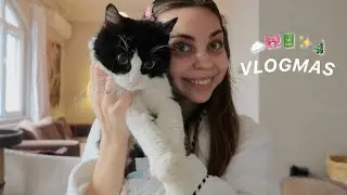 У НАС ПОЯВИЛСЯ КОТ? 🥹 VLOGMAS ☁️🎀 мой день в Стамбуле