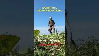 ПРИБОРНЫЙ ПОИСК! METAL DETECTING! РЫБОЛОВ КОПАТЕЛЬ!