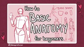 How to Draw Basic Anatomy