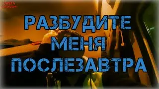 Разбудите меня послезавтра😴/Серёга дальнобой✌