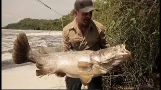 Nile Predators | Chasing Monsters