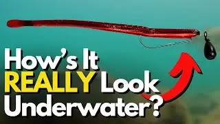 What Does the Free Rig REALLY Do Underwater? - See 3 Different Lures