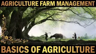 Agriculture Management | Basics of Agriculture | Farm Management | Crop Production Technology